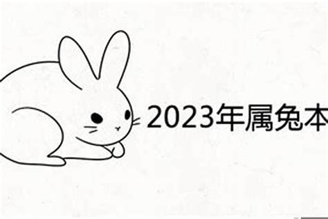 2023兔寶寶幾月生好|2023年属兔几月出生最好 属兔男孩出生的四个最佳时辰